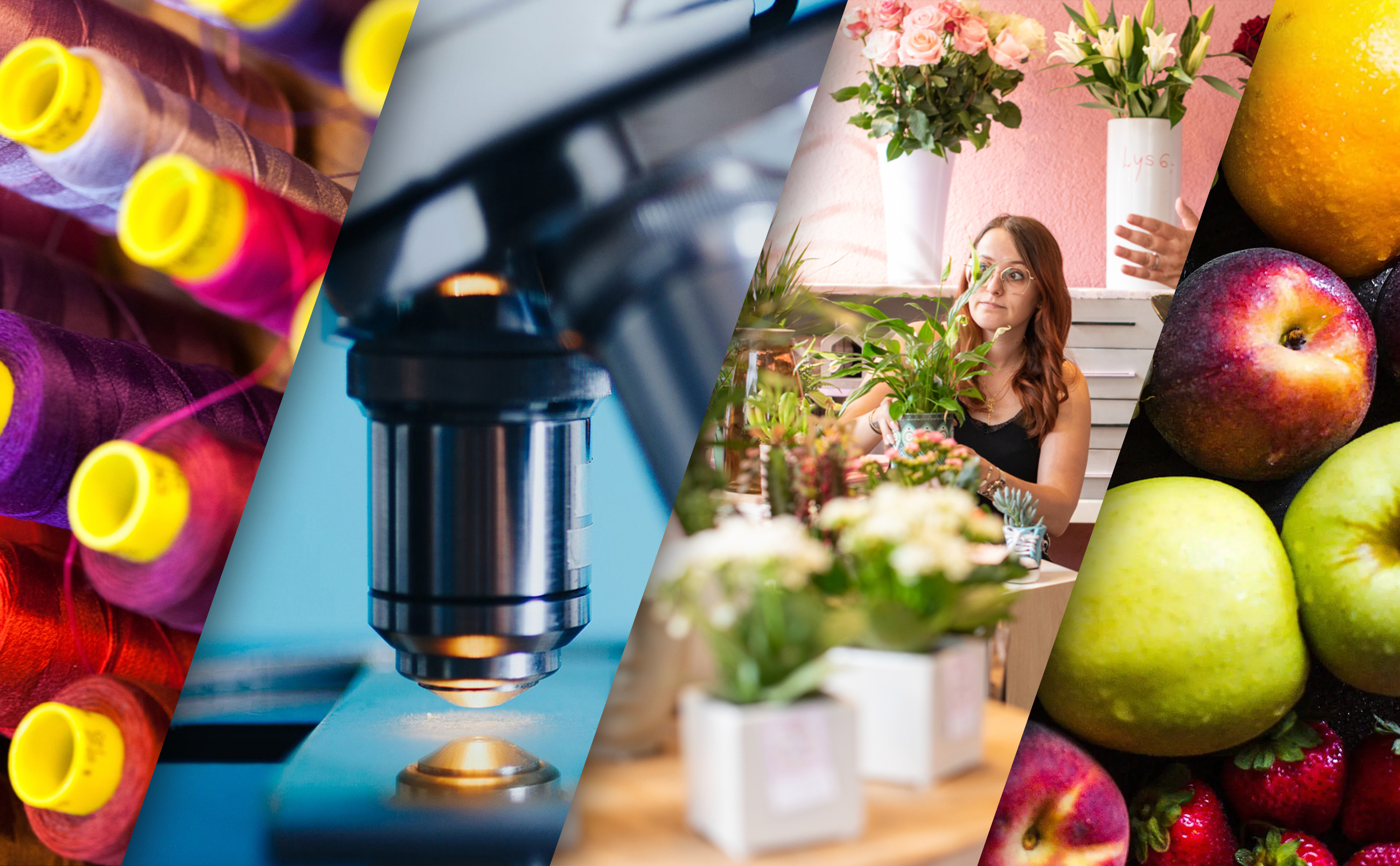 Voir d'autres réalisations