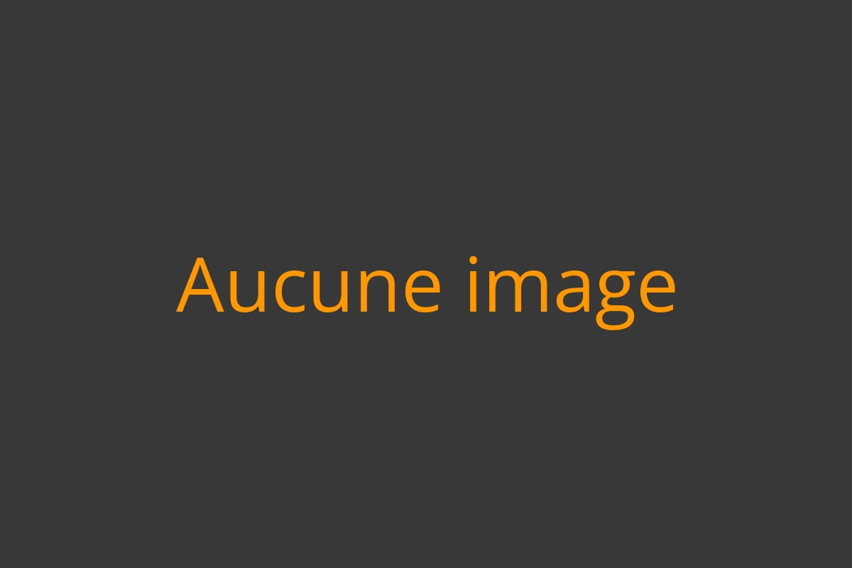 Sémantique et compréhension - Agence Web Exodream